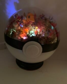 charmander pokémon light up terrarium