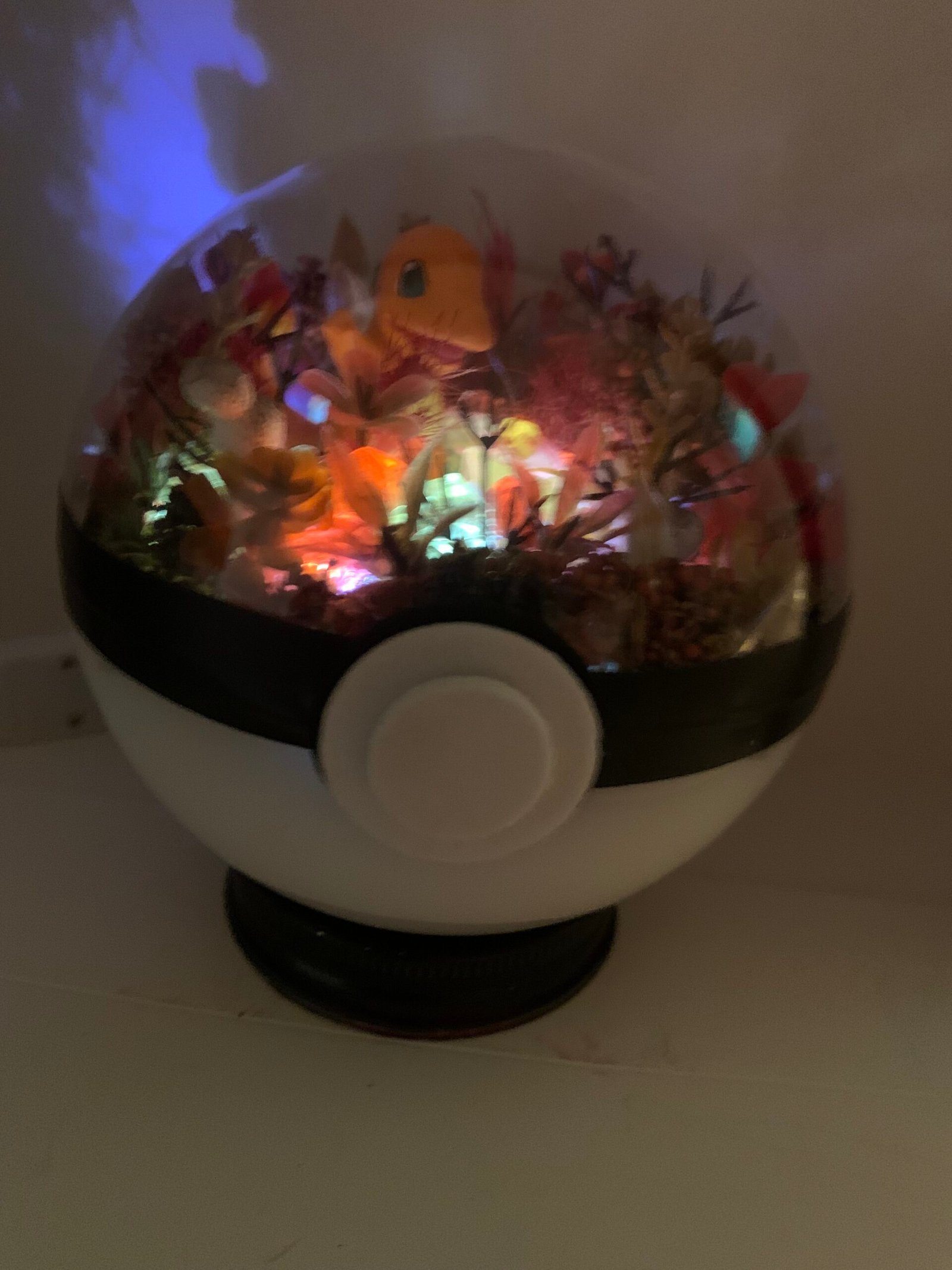 charmander pokémon light up terrarium