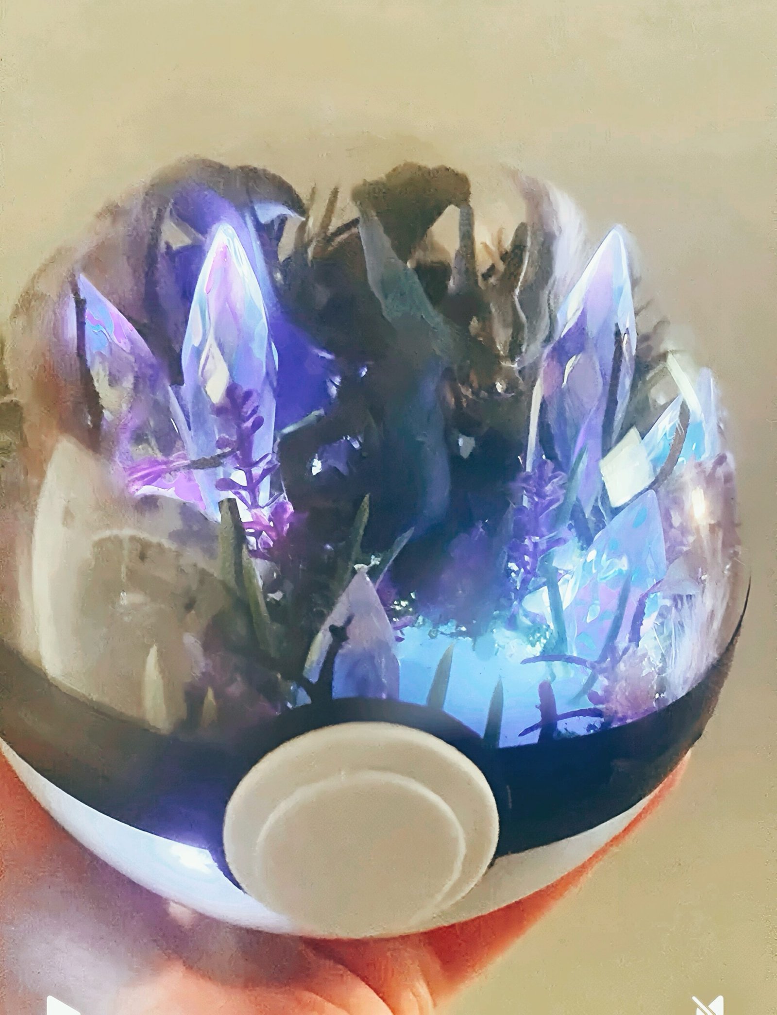 dark charizard pokémon deadly crystal forest terrarium light up