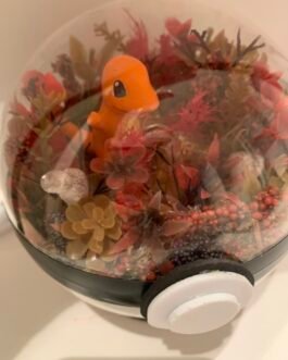 charmander pokémon light up terrarium
